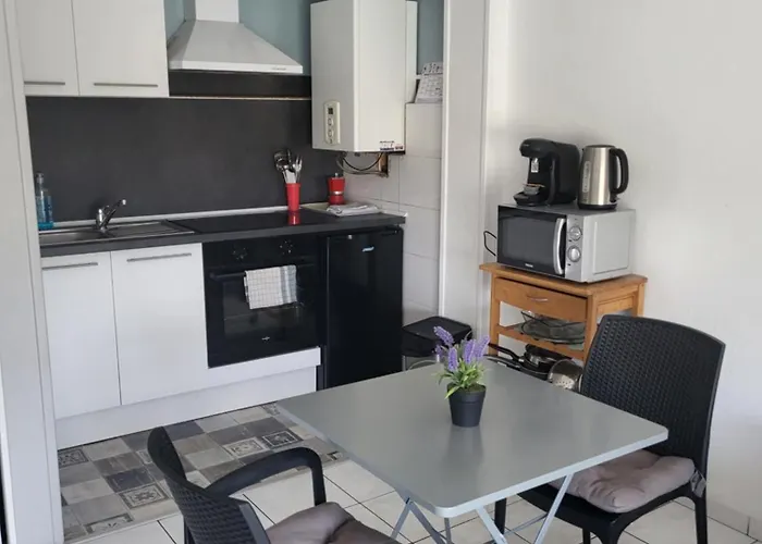 Residence D\'Anjou - Grand Studio Avec Balcon Et Parking Privatif